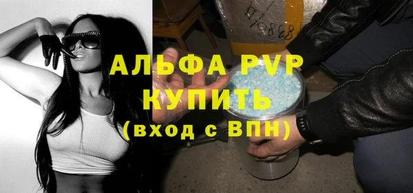 стаф Алексин