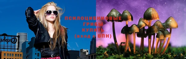 стаф Алексин
