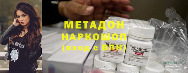 стаф Алексин