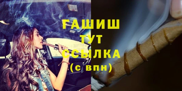 стаф Алексин