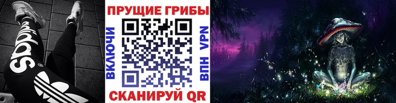 наркотики  дарк нет телеграм  Галлюциногенные грибы мухоморы  Каргат  гидра онион 